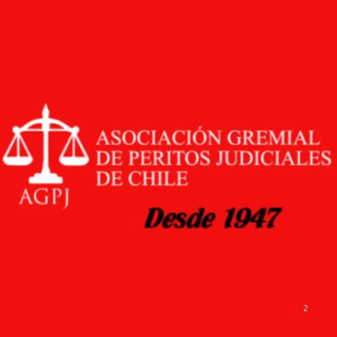 Asociación de Peritos Judiciales de Chile A.G.
